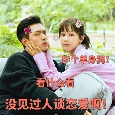 小猫钓鱼游戏龙王版有船