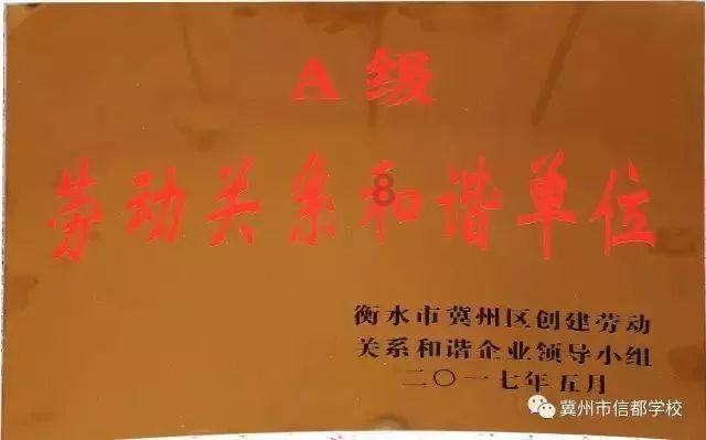 口袋森林世界杯传球大赛